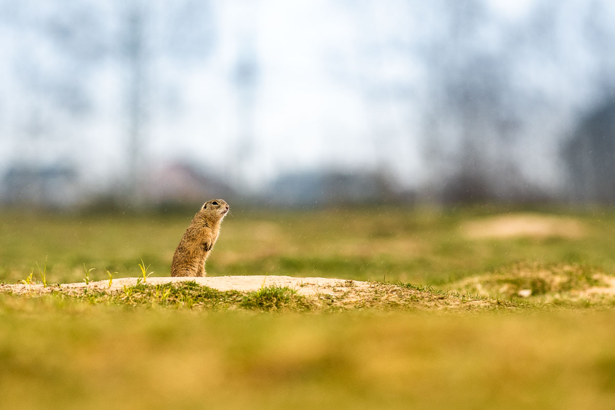 2018-04-08_Radouc-56.jpg