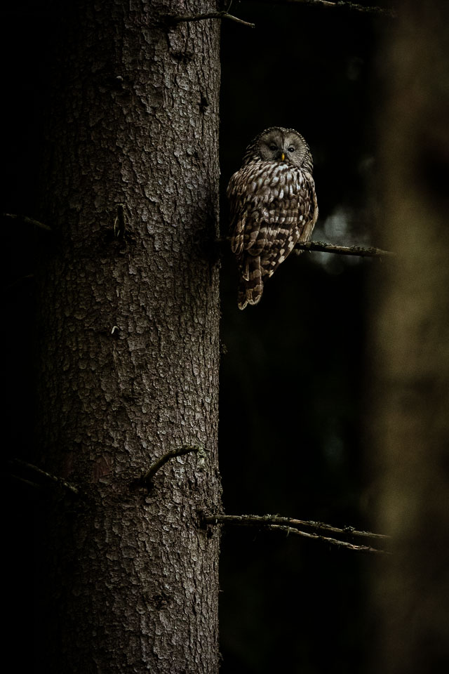 2019-05-01_Stožec,-Uralka61.jpg