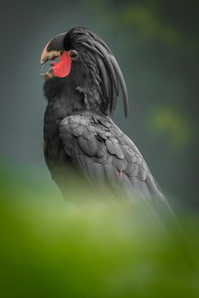 2019-12-29_ZOO-Praha-31.jpg
