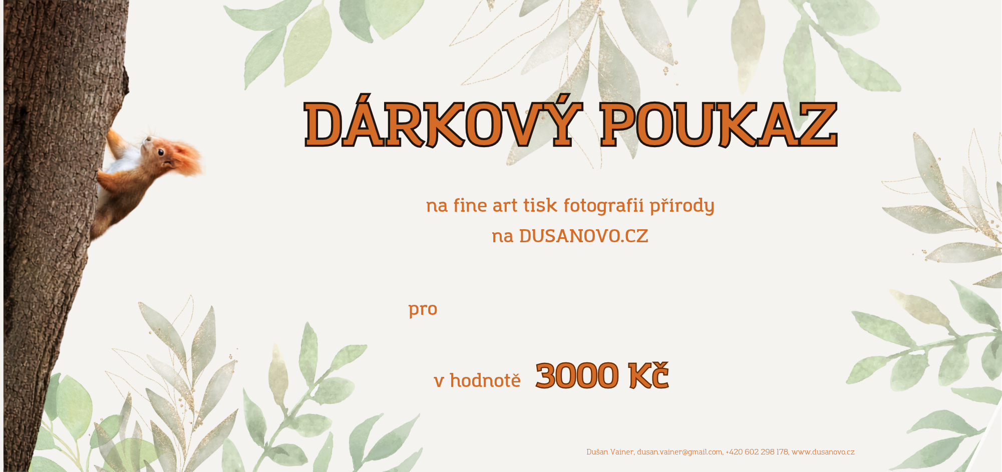 Dárkový poukaz v hodnotě 3 000 Kč