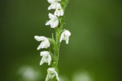 kalendar_2020-27-scaled