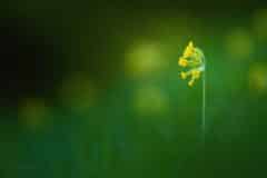 web-4-e1575575933249